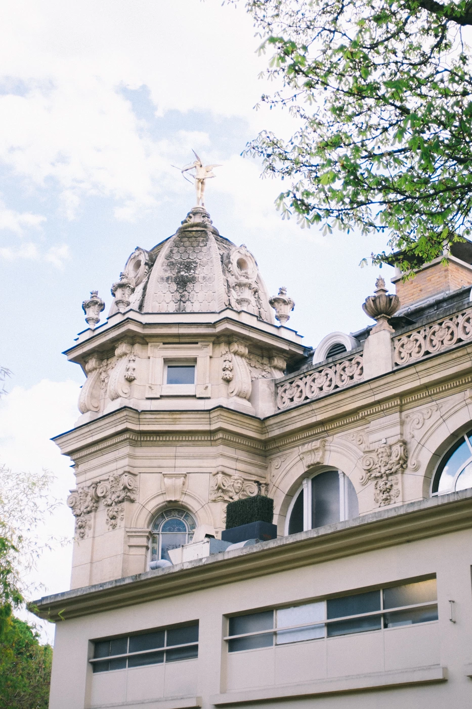 Spring in Paris where to enjoy blossoms Licorne Magazine